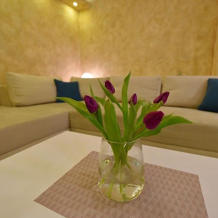 Apartman Centar Bg Belgrade Extérieur photo